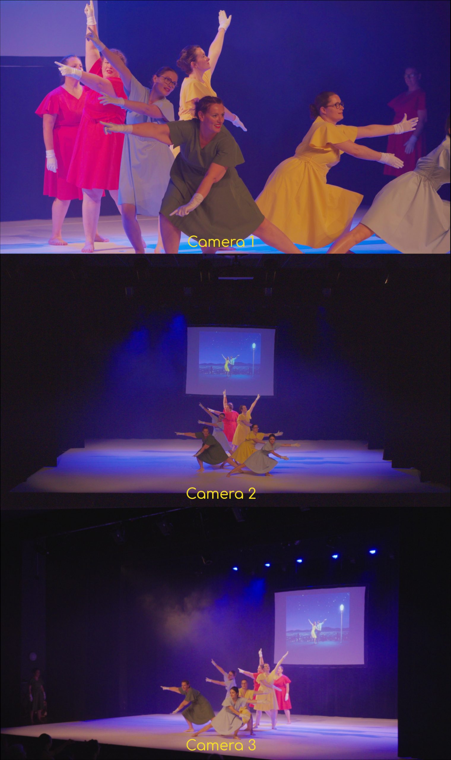 diaphane_films_multicamera_gala_2026_PT